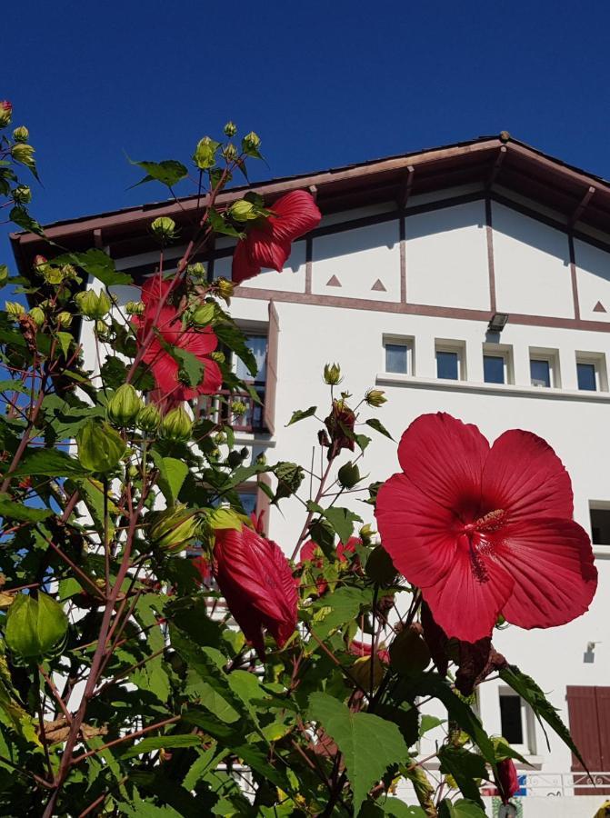 Saint-Pée-sur-Nivelle Hotel Pyrenees Atlantique מראה חיצוני תמונה