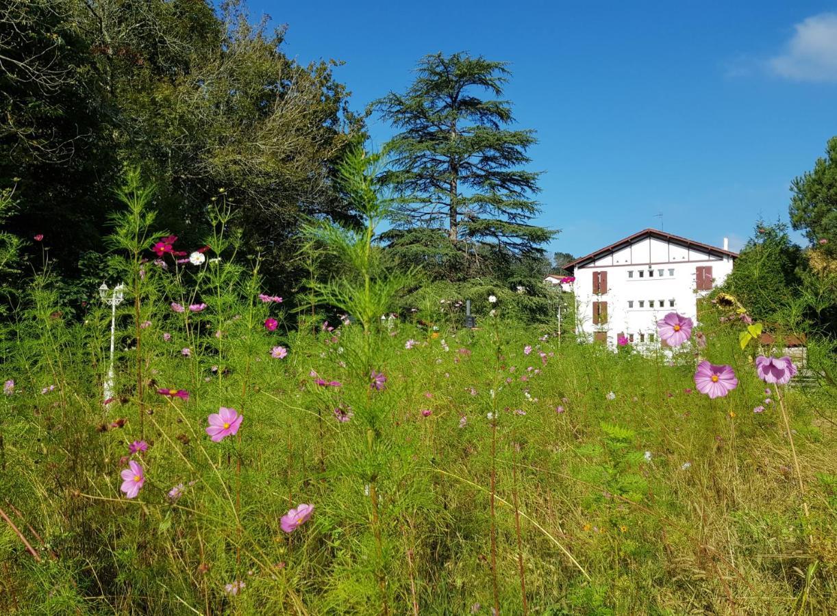 Saint-Pée-sur-Nivelle Hotel Pyrenees Atlantique מראה חיצוני תמונה